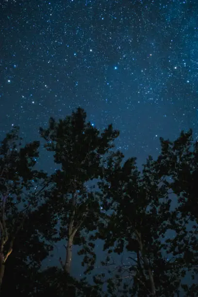 Photo of Night sky with stars