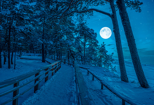 Winter landscape with snow covered pine and fir trees in a moonlight at starry night with full moon. View of coniferous forest with wooden pathway near sea coast with beautiful night sky with stars.