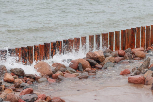istock Wooden breakwaters driven in at the shore. 1305030721