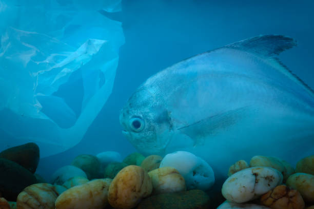 istock Disposal of waste into water sources, such as plastic bags, is non-biodegradable, causing pollution and is harmful to aquatic animals. 1305030833
