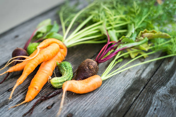 Home grown organic carrot, cucmber and beetroot