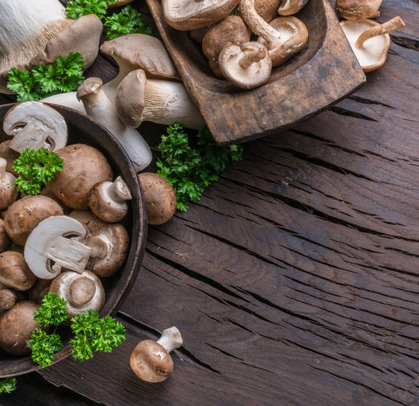 istock Different brown colored edible mushrooms on wooden table with herbs. Top view. 1305033052