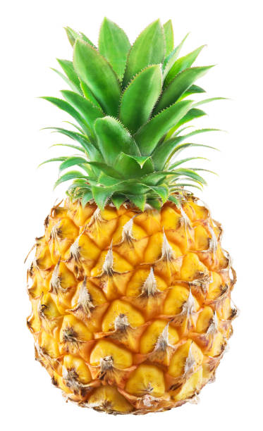 istock Pineapple baby yellow tropical fruit isolated on white background. 1305033932