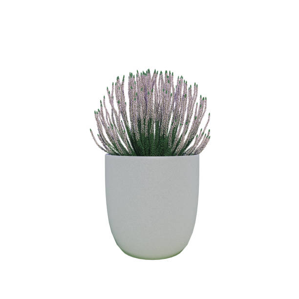 istock Flower in a pot. Garden design. Landscaping. 1305034168