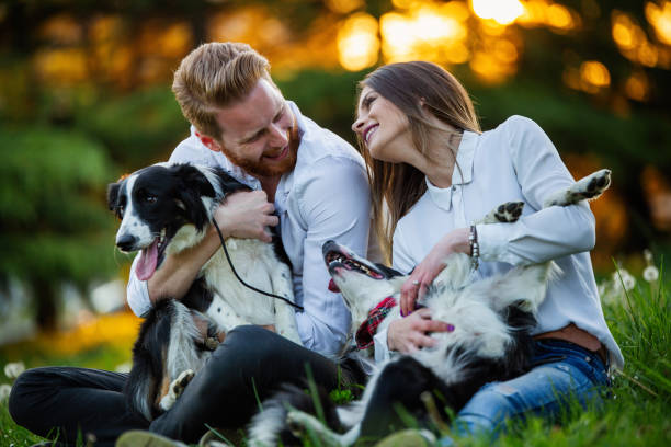 istock Young happy couple playing with dogs, having fun in park 1305036726