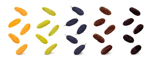 Vector illustration of Jumbo raisins in various colors on white background