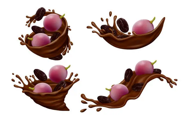 Vector illustration of Purple grapes with black raisins in chocolate splashes on white background