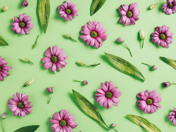 istock Pattern made with pink gerbera flowers and leaves on contrast pastel green background 1305038268