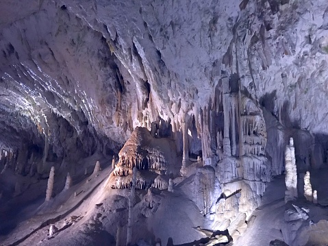 Postojna jama cave Slovenia