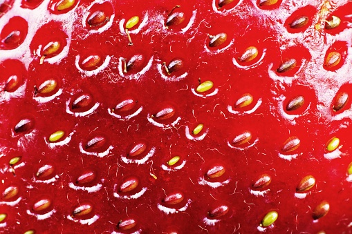 Closed up Strawberry fruit.