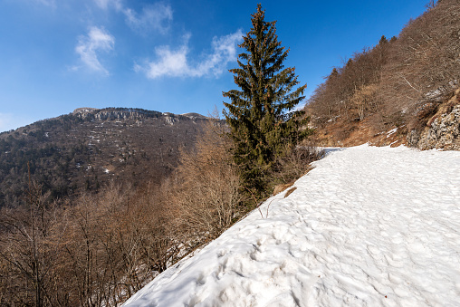Mountain peak of Corno d'Aquilio in winter with snow. Lessinia Plateau (Altopiano della Lessinia), Regional Natural Park, Sant'Anna d'Alfaedo village, Verona province, Veneto, Italy, Europe.