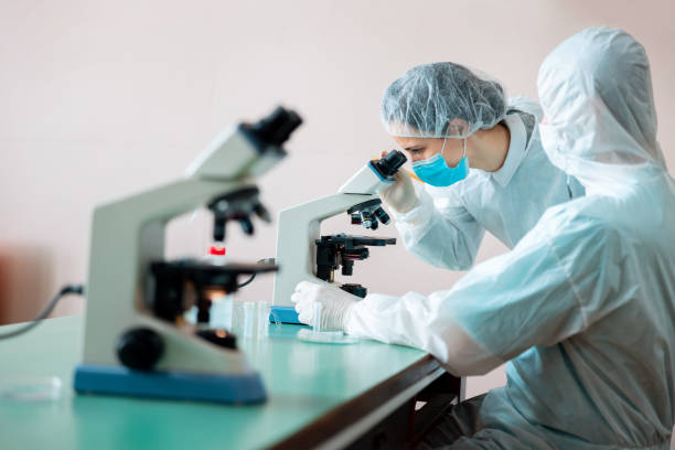 실험실에서 현미경을 사용하는 남성과 여성 과학자 - research clean room laboratory genetic modification 뉴스 사진 이미지