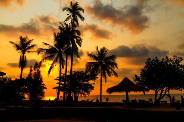 istock Sunset with silhouette coconut on Bailan beach 1305052792