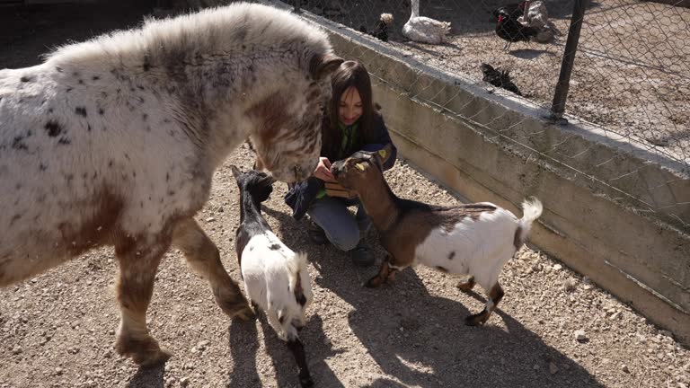 Joyful girl having amazing day at the zoo, while feeding the kid goat and pony with a carrots