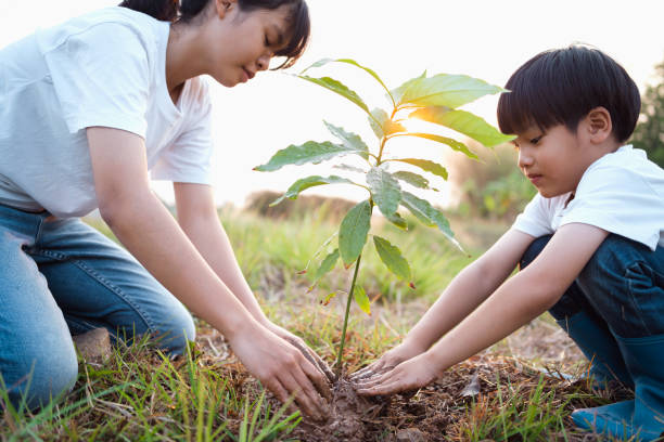 istock children helping planting tree in garden for save world. eco environment concept 1305054844