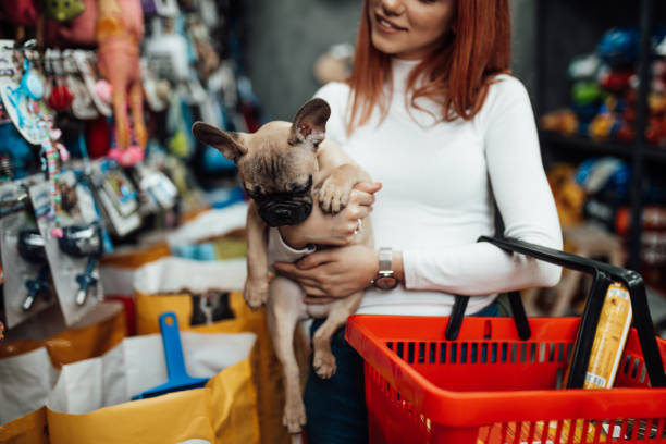 mujer en tienda de mascotas - vet dog teenager puppy fotografías e imágenes de stock