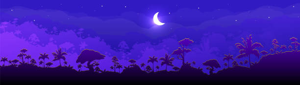 ilustrações de stock, clip art, desenhos animados e ícones de jungle flat color vector illustration. night forest scenery. panoramic woods with cresent moon. tropical scenic nature with moonlight. rainforest 2d cartoon landscape with layers on background - rainforest tropical rainforest forest moonlight