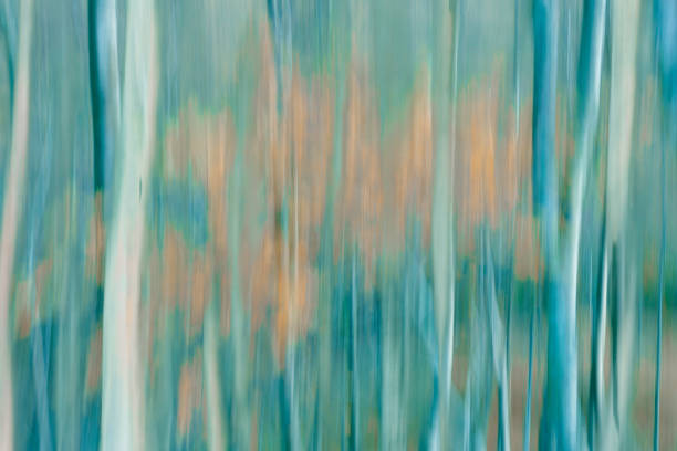 istock Happy forest.ICM nature abstract. 1305062950