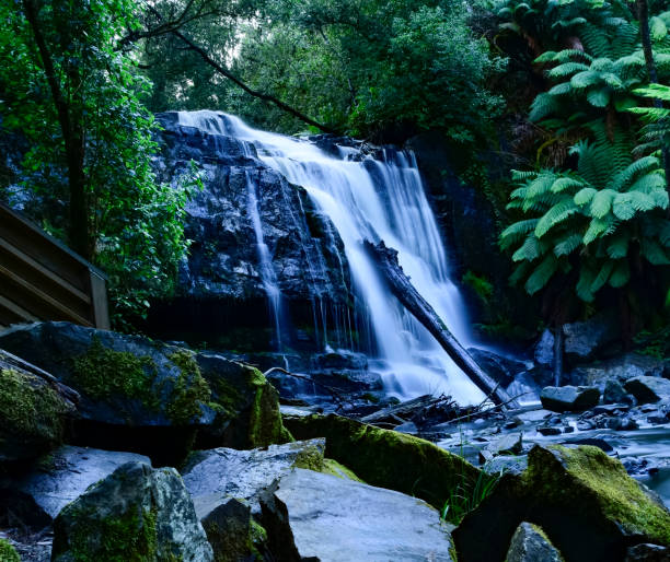 istock Waterfalls in Tasmania 1305063946