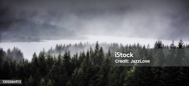 Fog Over Loch Tulla In Scottish Highlands Stock Photo - Download Image Now - Forest, Fog, Scotland