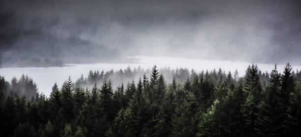 neblina sobre loch tulla nas terras altas escocesas - mountain mist fog lake - fotografias e filmes do acervo