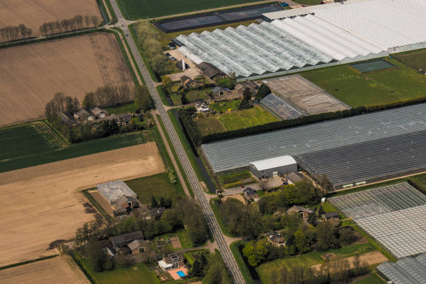istock Greenhouses in a row seen from above 1305065019