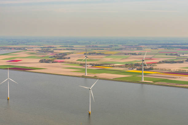 aerogeneradores frente a campos de flores de tulipán que crecen en primavera en la vista aérea de holanda - netherlands dyke polder aerial view fotografías e imágenes de stock