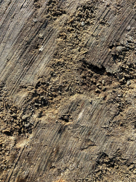 istock Top view of ground sandy background. 1305065956