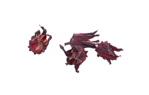 istock Dried roselle isolated on the white background. 1305067608