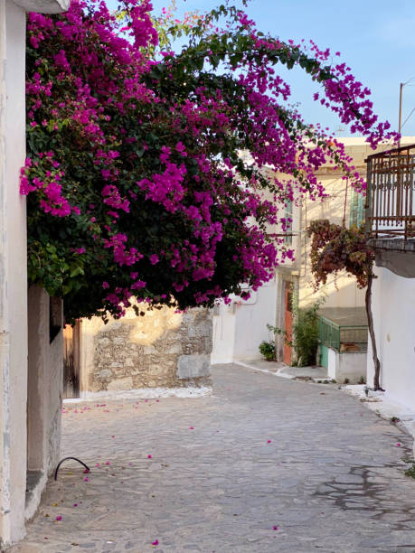 istock Kritsa town, Crete Island, Greece 1305068817