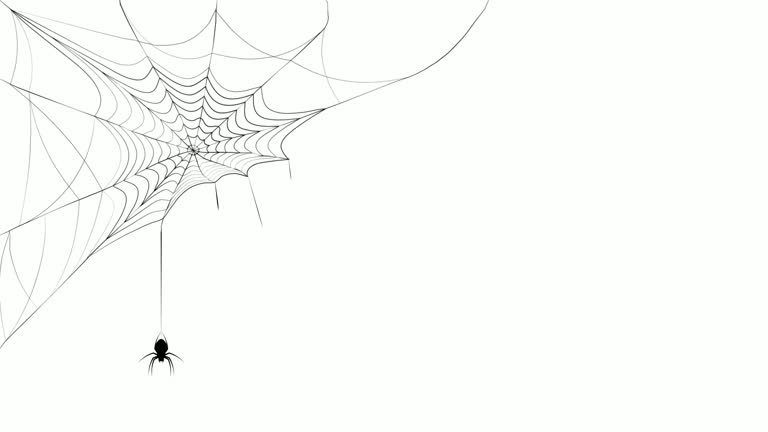 15,239 Spider Stock Videos and Royalty-Free Footage - iStock | Spider web, Cute spider, Cartoon spider 15,239 Spider Stock Videos and Royalty-Free Footage - iStock | Spider web, Cute spider, Cartoon spider
