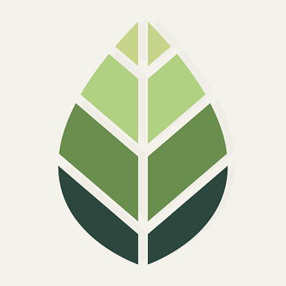 Green leaf ecology nature icon