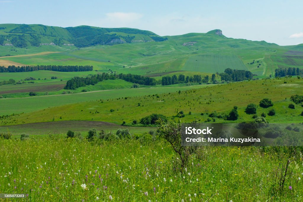 Green Landscape Of Peredovaya Village Russya Stock Photo Download