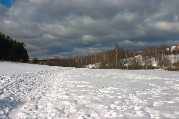 istock snow in the open space in front of the forest park 1305075400