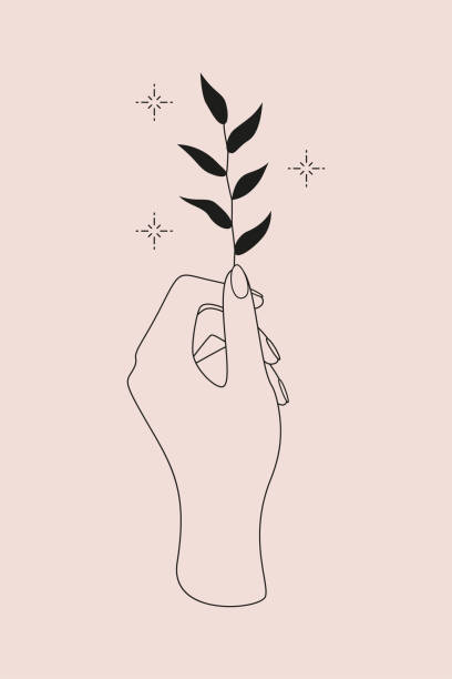 мистический логотип с магическим символом рук, растений и звезд. векто�рная иллюстрация для эмблемы медитации, значка, наклейки, печатаемой  - mistic stock illustrations