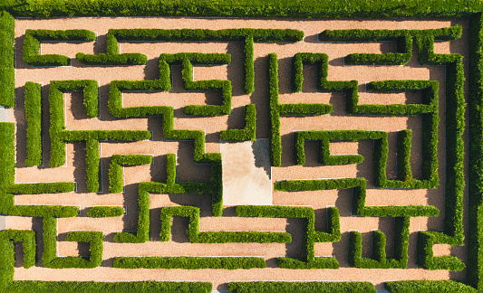 Aerial view of Green maze garden.  nature background.