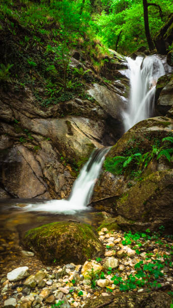 istock waterfalls hidden in versilia 1305077078