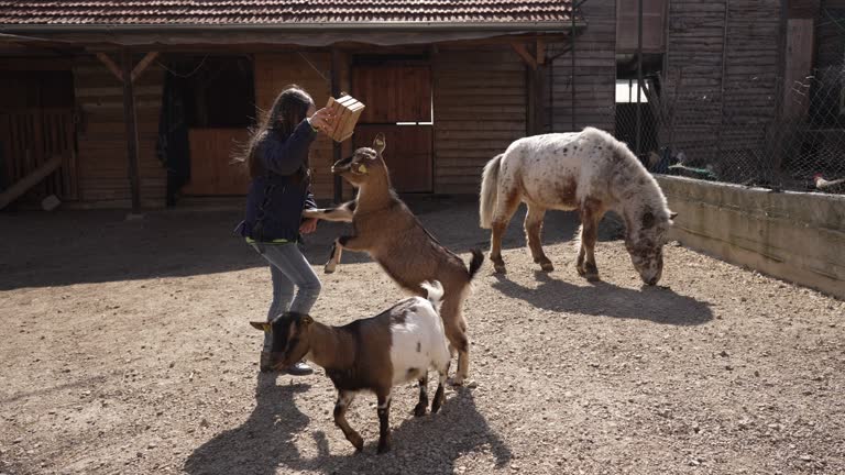 Bond between animals and child is unbreakable