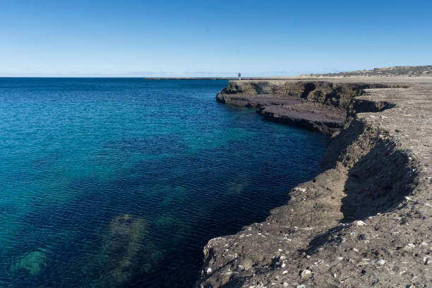 istock Caleta Valdes. Port madryn 1305078142