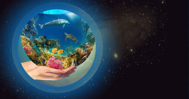 istock Globe in human hand against blue sky. 1305080805