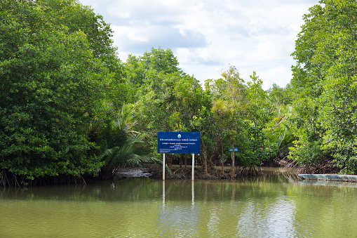 Sign in natural environmental area in Chumophon province. Sign is placed in water and river Phanang Tak