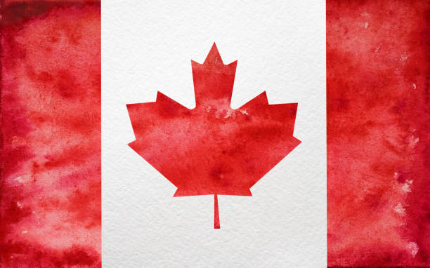 캐나다 국기. 아름다운 인사말 카드. 공휴일 - canadian flag canada flag maple leaf stock illustrations