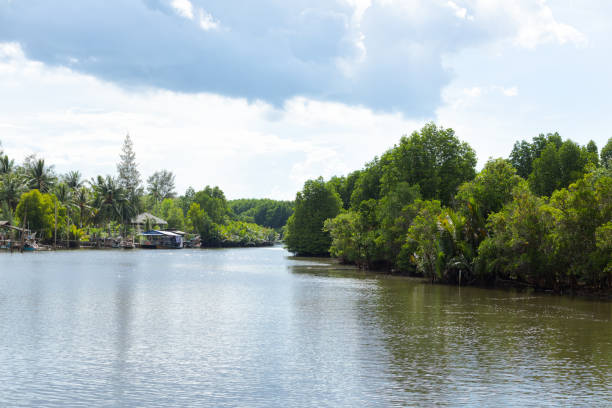 istock View over and along river in Chumphon province 1305082974