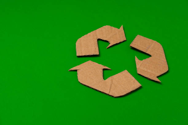 istock Paper recycling concept on green background top view 1305084285
