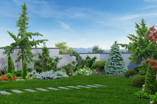 Modern backyard with oriental inspired background, 3D rendering Example of decorating and grouping plants, nature scene oriental spruce stock pictures, royalty-free photos & images