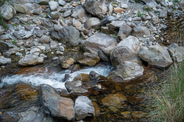 Wild river flow in forest with rock stones landscape in Taiwan.