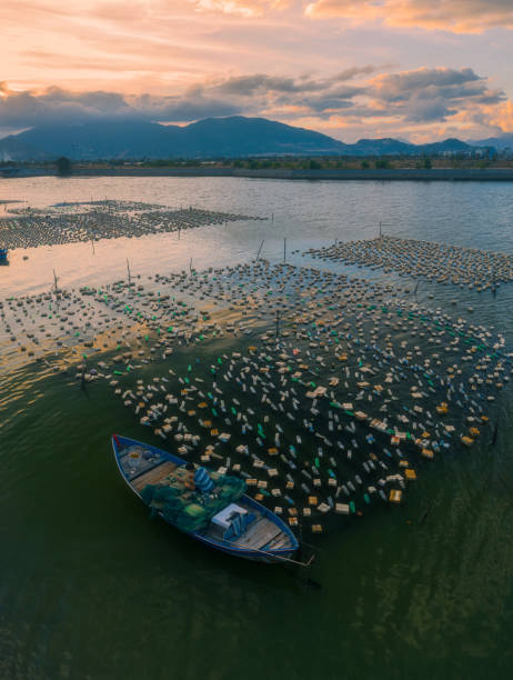 Drone view of a mussel farm on Quan Tuong river, Nha Trang city, Khanh Hoa province, central Vietnam