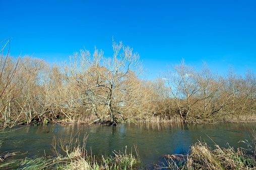 View along a tree lined river in bright spring sunshine