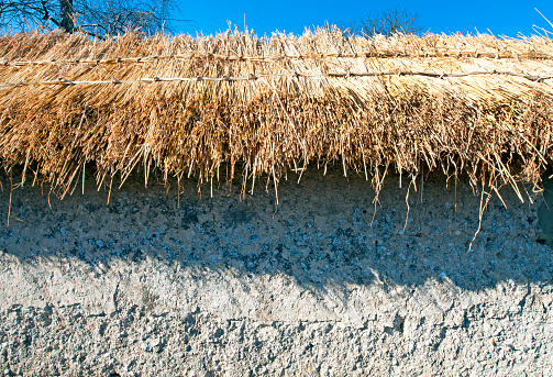 Newly thatched wall cap in progress at the onset of Spring in Wiltshire, England