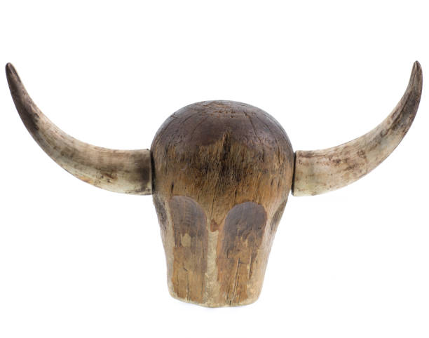istock medieval horned helmet isolated on white background 1305093321